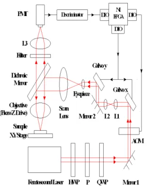 Fig. 2. The optical setup and control scheme of the femtosecond laser imaging and microfabrication system