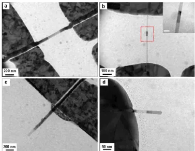 Fig. 3  In situ TEM images showing different heterostructures of PtSi/Si based on  different growth mechanisms due to oxide effect