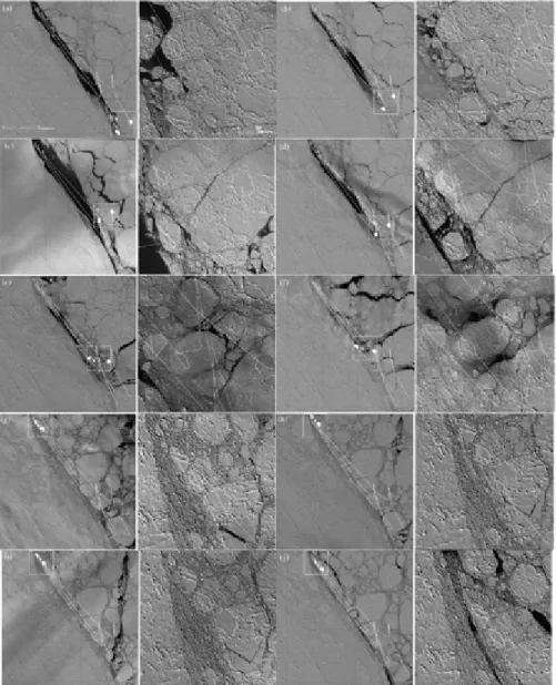 Fig. 1. Shown above is a series of time-sequential Formosat-2 imagery on the marginal ice zone (MIZ) in Alert,  Ellesmere Island, the Canadian high Arctic (Liu et al., 2009): (a) 2006/3/24; (b) 2006/3/25; (c) 2006/3/26; (d) 