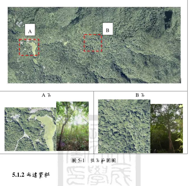 圖 5-1    樣區範圍圖 