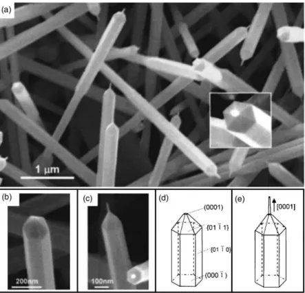 Figure 1 共c兲 is the SEM image of a nanopencil, while Fig.