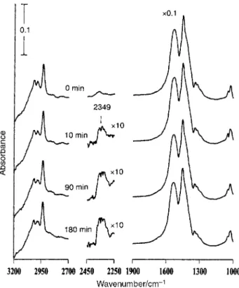 Fig. 2 IR spectra taken before and after the indicated times during UV irradiation of CH which was formed by exposing a clean