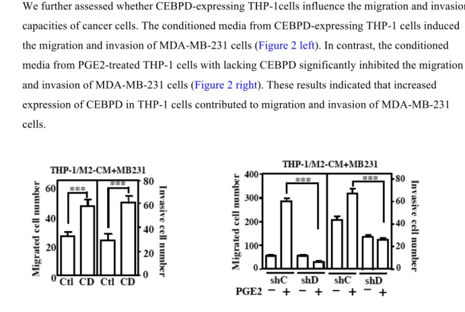 Figure 2. The migration and invasion capacities of MDA-MB-231 cells were assessed using a  Boyden chamber assay