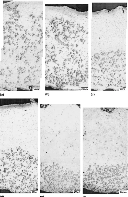 FIG. 6. Cross-sectional microstructure of the Sn–8.87Zn–1.5Ag samples after holding at 250 °C for (a) 0 min, (b) 5 min, (c) 10 min, (d) 20 min, (e) 40 min, and (f) 60 min.