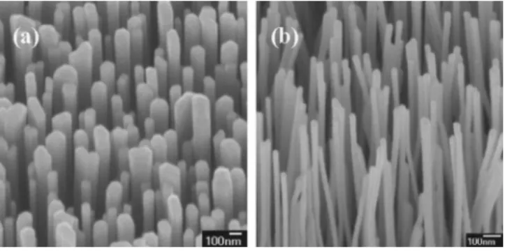 FIG. 1. FESEM images of 共a兲 sample A with the 100-nm-diameter ZnO NWs, and 共b兲 sample B with the 30-nm-diameter ones.