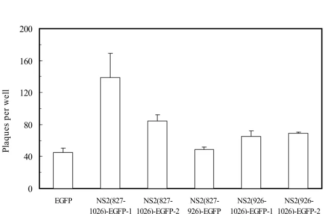 Figure 6 (A) 04080120160200 EGFP  NS2(827-1026)-EGFP-1  NS2(827-1026)-EGFP-2  NS2(827-926)-EGFP  NS2(926-1026)-EGFP-1  NS2(926-1026)-EGFP-2Plaquesperwell-