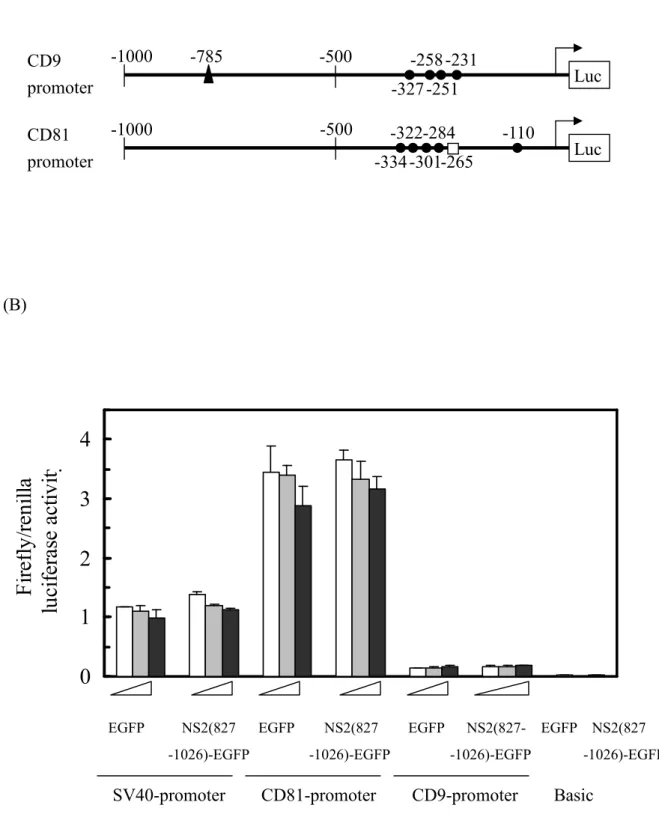 Figure 8 (A) (B) -334 -327 01234Firefly/renillaluciferaseactivity
