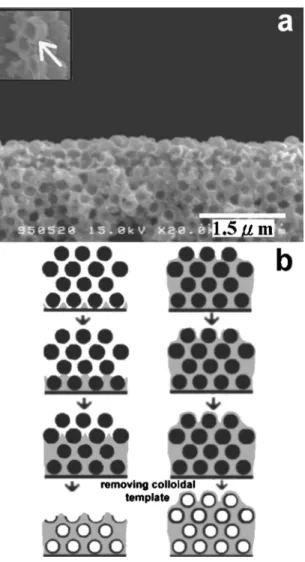 Figure 10. 共a兲 SEM surface image of a macroporous structure covered with hollow sphere arrays prepared for 120 s by a template-mediated  electrodepo-sition process