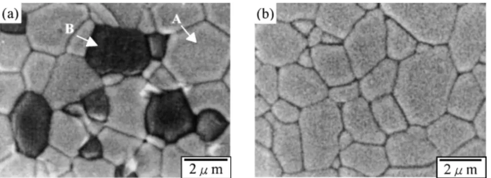 FIG. 3. The SEM micrograph of (a) undoped and (b) 20% Sr-doped lanthanum copper oxide.