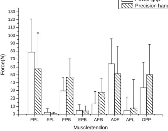 Figure 9. Average maximum muscle/tendon forces during jar opening 