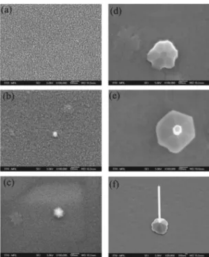 Figure 3. Top-view SEM micrograph of the sputtered-ZnO:Ga/sapphire tem- tem-plate heat-treated with neither O 2 nor Zn powder.