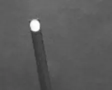 Fig. 1. Image with a uniform background captured by the camera. 