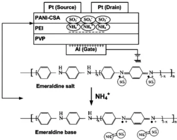 FIG. 2. 共Color online兲 The schematic device structure of the OTFT based on PANI-CSA/PEI.