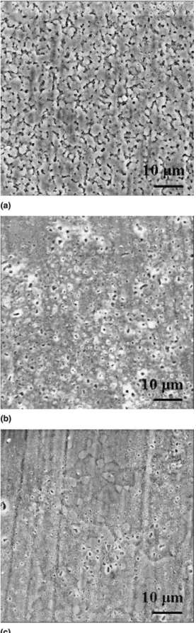 Fig. 6. The specimens were slightly etched to reveal the dual phase microstructure before examining under SEM.