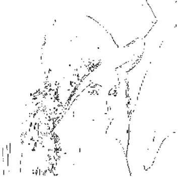 Fig. 2 Sample quad-tree partitioning executed on a compressed image 共“Lena”兲.