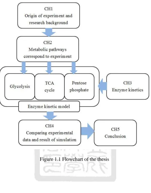 Figure 1.1 Flowchart of the thesis 