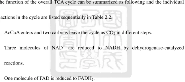 Table 2.2 The reactions and their related enzymes in the TCA cycle. 