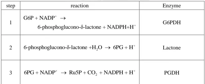 Table 2.4 The reaction of oxidative phase of pentose phosphate pathway. 