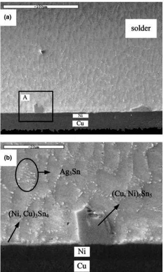 FIG. 2. Images of the Sn–Ag–Cu samples soldered at 240 °C: (a) the cross-section image after single reflow cycle and (b) the magnification of region A in (a).