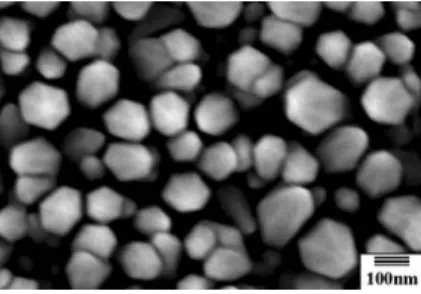 Fig. 9 High-resolution SEM image of the ZnO nanorods grown on Si (100).