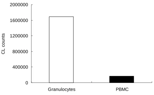 Figure 2. Superoxide production from granulocytes and peripheral blood  mononuclear cells (PBMC)