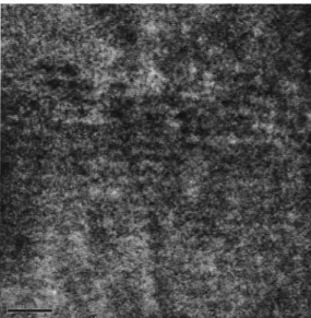 FIG. 5. The typical 关110兴 zone-axis HRTEM image shows some degree ordering and localized clusters in a nitrogen-incorporated 共关N兴⫽0.5%兲 sample.