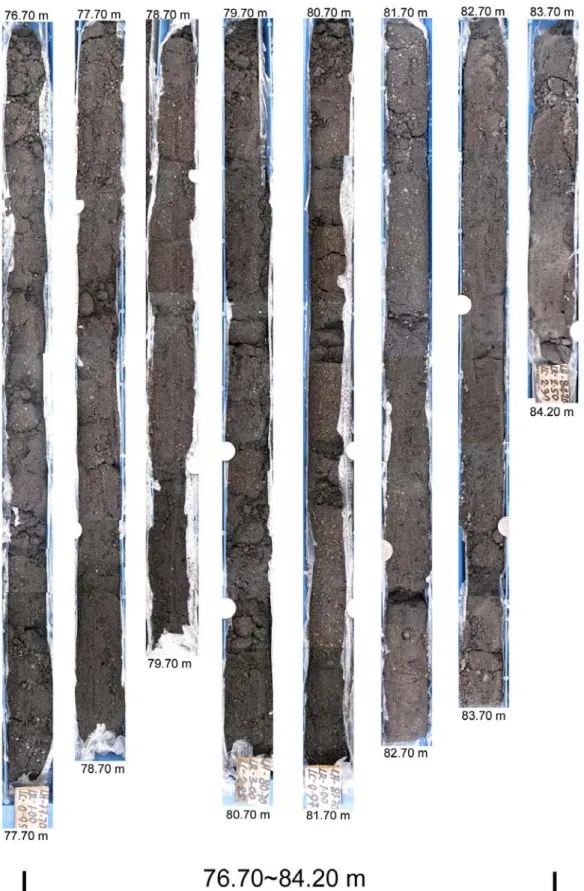 Fig. 1 Photography of Drill core BH#2 