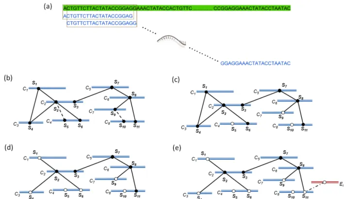 Figure 1 Schematic diagram of each step of our heuristic method. (a) The process of enumerating the subsequences from the candidate- candidate-genes