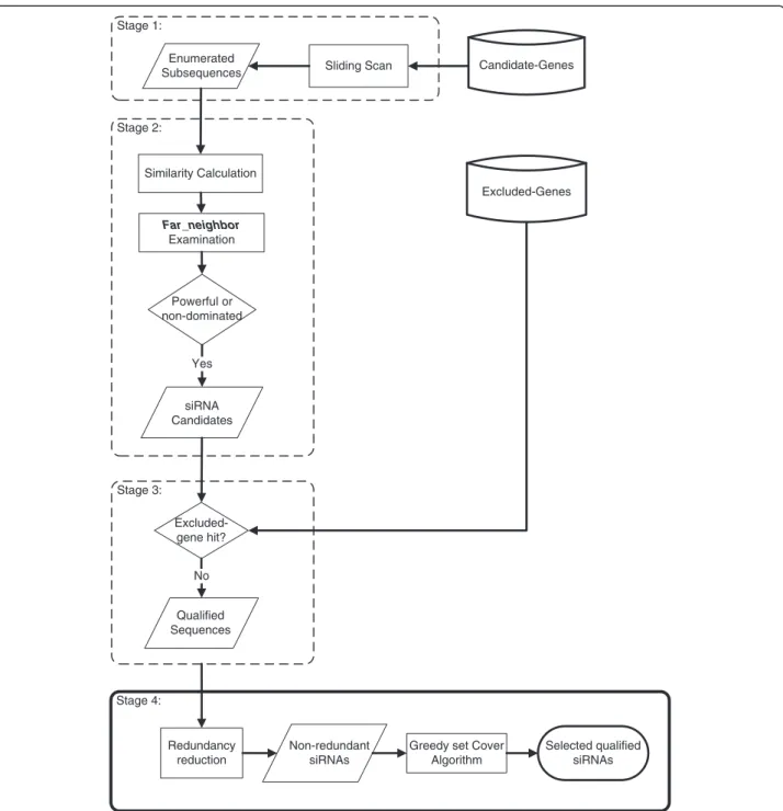 Figure 2 Flowchart of the design of the qualified siRNAs that were used in the first-round analysis of our strategy