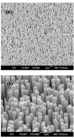 FIG. 1. 共a兲 Low magnification and 共b兲 high magnification SEM micrographs of aligned ZnO nanorods.