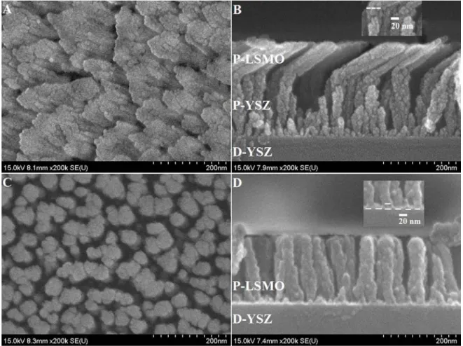 Fig 6. SEM image of YSZ/LMO plane view (A) and cross section (B), LMO single layer plane  view (C) and cross section (D) 