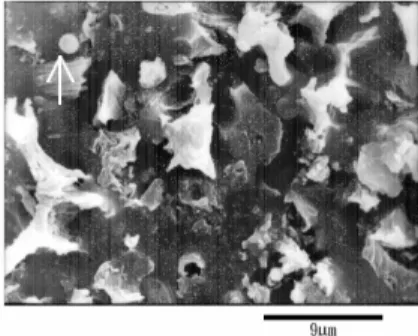 Fig.  6雷射粒徑分析儀測量分選所得微粒碳產物(強 度30%，時間8分鐘)之粒徑結果。