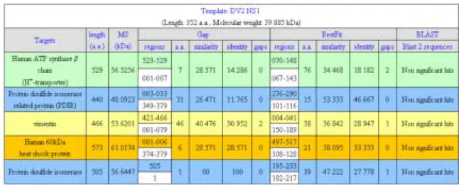 Table 2. Alignment results between DV NS1 and proteins specifically hybridized with anti-NS1 