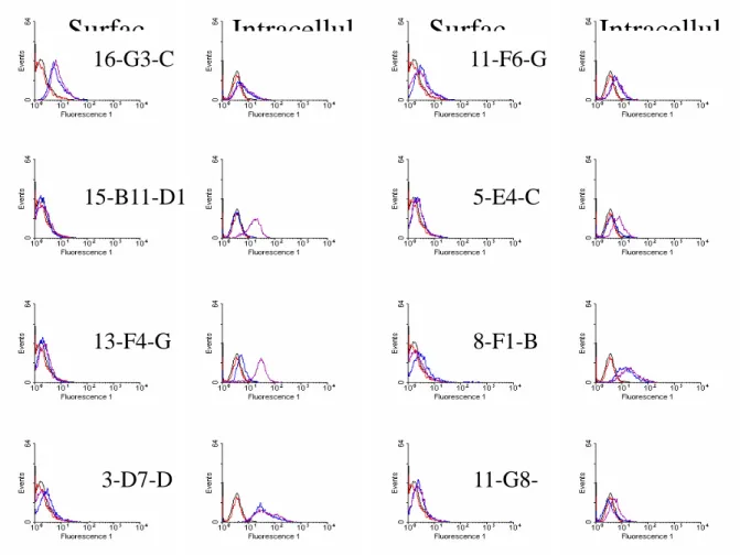 Fig. 5. Flow cytometric analysis of various mAb binding to dengue virus infected BHK cells