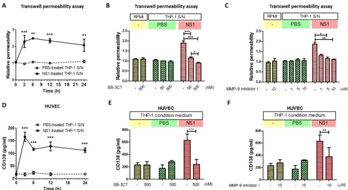 Fig 5. DENV NS1-induced MMP-9 secretion from THP-1 cells causes endothelial hyperpermeability and glycocalyx degradation