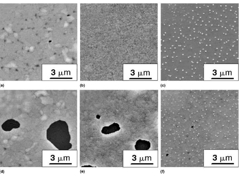 FIG. 5. Scanning electron micrographs on the surfaces of 700 °C annealed (a) Cu/SiO 2 / 〈Si〉, (b) Cu(0.2 at.% Zr)/SiO 2 / 〈Si〉, (c) Cu(2.5 at.%