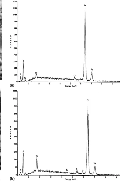FIG. 7. Scanning electron micrograph of the debris from Si 3 N 4 -based composites against AISI-52100 steel ball pairs dry sliding tests: