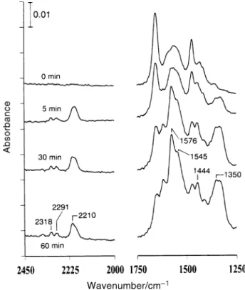Fig. 5 IR spectra taken after CH adsorption followed by evac- evac-3 CN