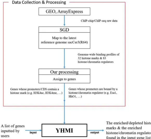 Figure 1. YHMI includes the ChIP-chip/ChIP-seq datasets of 32 histone marks and 83 histone/chromatin  regulators 