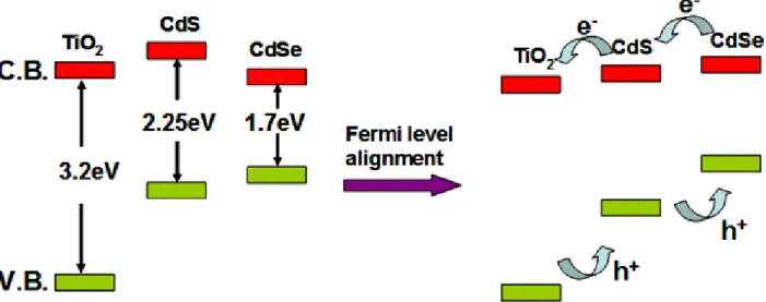 Figure 3. Relative energy levels of TiO 2 , CdS, and CdSe before (a), and after Fermi level alignment (b).