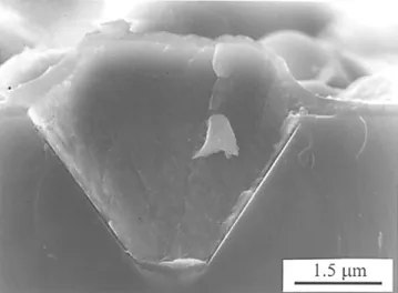 Figure 8. XRD spectra of Cu/TiB 2 /<Si> samples before and after annealing at 600-800 8C for 30 min