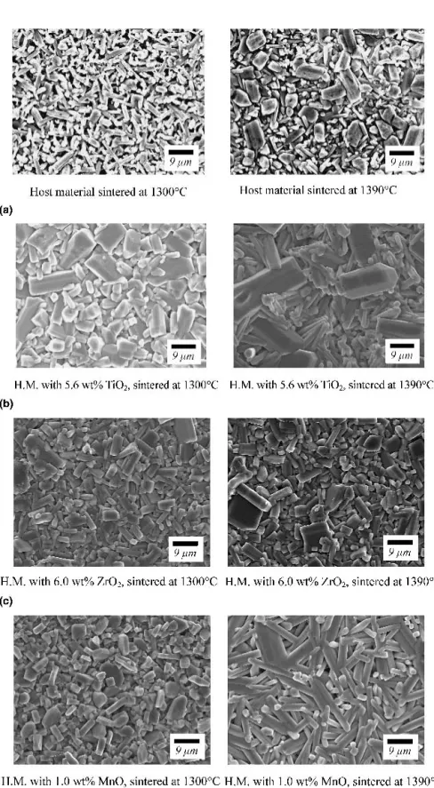 FIG. 6. SEM micrographs for (a) pure host material and those with different amounts of (b) TiO 2 , (c) ZrO 2 , and (d) MnO additives sintered at 1300 and 1390 °C.