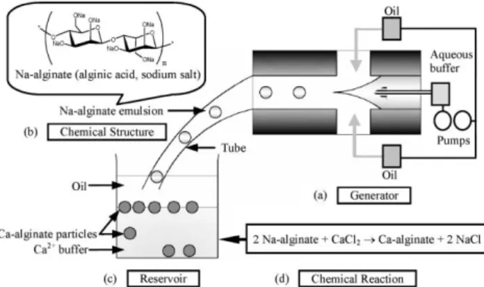 Fig. 1 Scheme and illustration of system set up and mechanism: (a) schematic drawing of Na-alginate emulsion generator in a  cross-junction microchannel, (b) chemical structure of Na-alginate emulsion, (c) a reservoir and (d) the mechanism of Na-alginate p