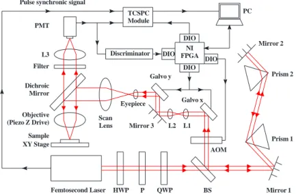 Fig. 1. Optical setup of the femtosecond laser imaging and microfabrication system combined with the fluorescence lifetime imaging microscopy