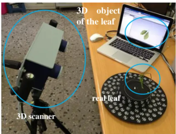 Figure 2. Using 3D scanner to build the 3D models of  leaves. 