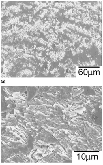 FIG. 12. Broken Cu–Sn compounds, indicated by arrows, in vibration deformed structure of the 1.5Cu specimen.