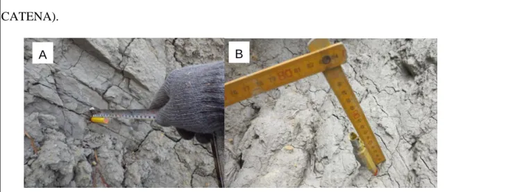 Fig. 1 Erosion pin measurements on 2013 Oct (A) and 2014 May (B). 