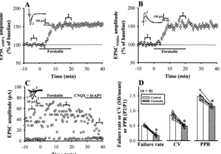 Fig. 4. Forskolin increases both AMPA receptor- and NMDA receptor-mediated EPSCs and decreases the failure rate, CV, and PPR