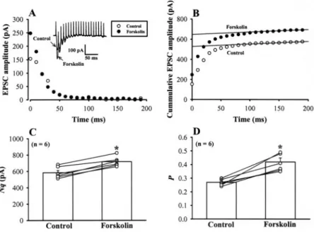 Fig. 6. Forskolin increases both the number of releasable vesicles and release probability