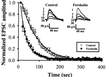 Fig. 7. Forskolin accelerates the time course of blocking NMDA receptor- receptor-mediated EPSC (EPSC NMDA ) by MK-801